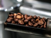 _COFFEE ROAST_